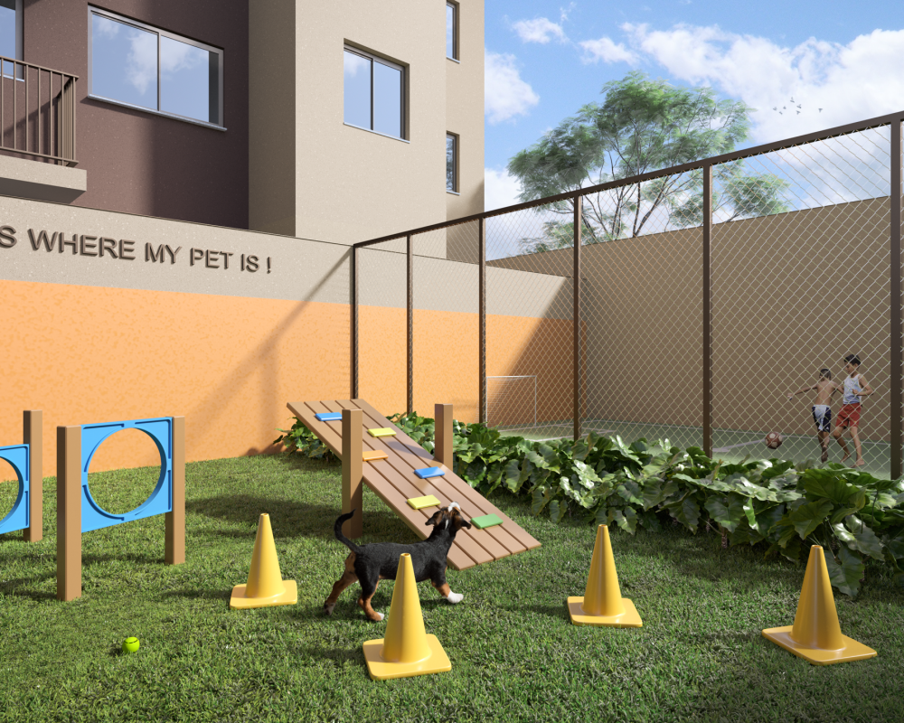 pet place perspectiva