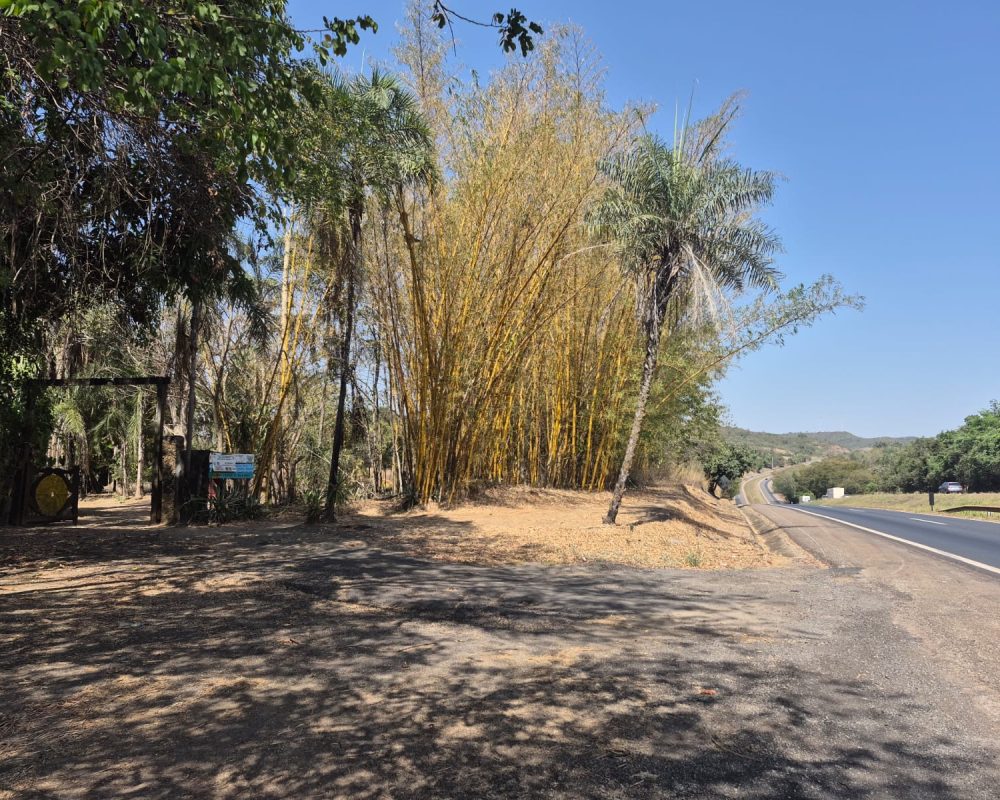 Fazenda_BR060_Goiás_1