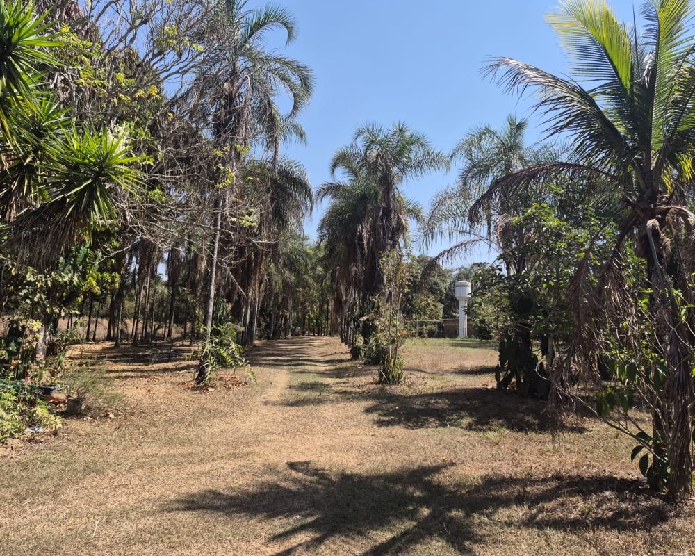 Fazenda_BR060_Goiás_5