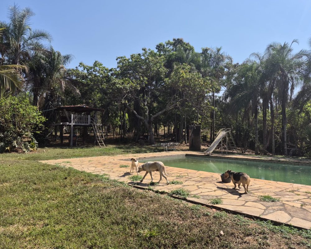 Fazenda_BR060_Goiás_7